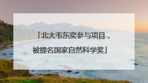 北大韦东奕参与项目，被提名国家自然科学奖