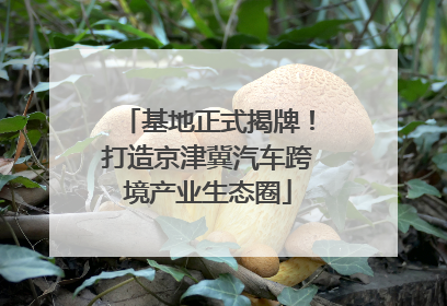 基地正式揭牌！打造京津冀汽车跨境产业生态圈