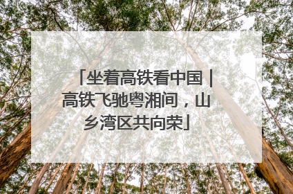 坐着高铁看中国｜高铁飞驰粤湘间，山乡湾区共向荣