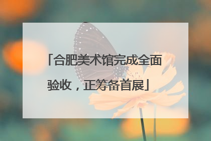 合肥美术馆完成全面验收，正筹备首展