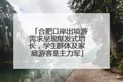 合肥口岸出境游需求呈现爆发式增长，学生群体及家庭游客是主力军