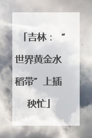 吉林：“世界黄金水稻带”上插秧忙