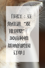 同江：豆角住进“双排别墅” 30亩种植基地的跨国订单