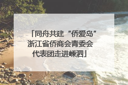 同舟共建“侨爱岛” 浙江省侨商会青委会代表团走进嵊泗