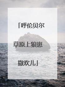 呼伦贝尔草原上狼崽撒欢儿