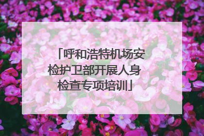 呼和浩特机场安检护卫部开展人身检查专项培训