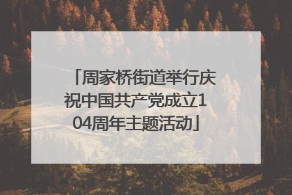 周家桥街道举行庆祝中国共产党成立104周年主题活动