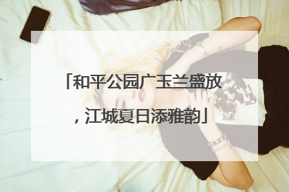 和平公园广玉兰盛放，江城夏日添雅韵