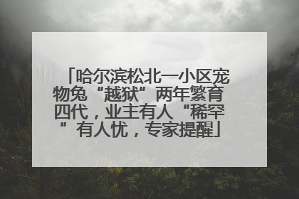 哈尔滨松北一小区宠物兔“越狱”两年繁育四代，业主有人“稀罕”有人忧，专家提醒