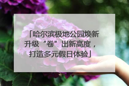 哈尔滨极地公园焕新升级“卷”出新高度，打造多元假日体验