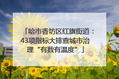 哈市香坊区红旗街道：43项指标大排查城市治理“有数有温度”