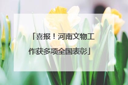 喜报！河南文物工作获多项全国表彰
