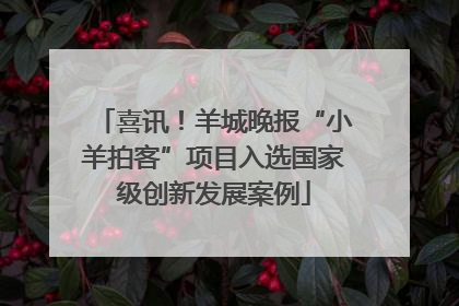 喜讯！羊城晚报“小羊拍客”项目入选国家级创新发展案例