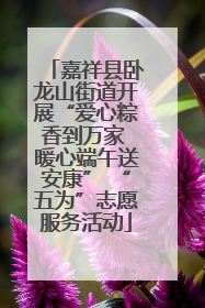 嘉祥县卧龙山街道开展“爱心粽香到万家 暖心端午送安康” “五为”志愿服务活动