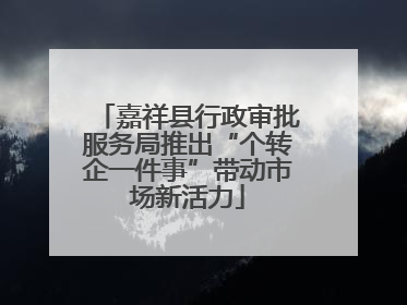 嘉祥县行政审批服务局推出“个转企一件事”带动市场新活力
