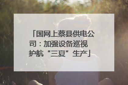 国网上蔡县供电公司：加强设备巡视 护航“三夏”生产