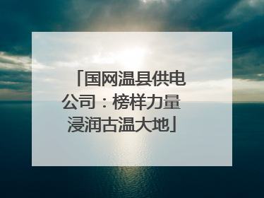 国网温县供电公司：榜样力量浸润古温大地