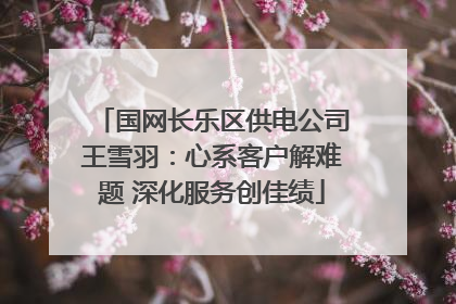 国网长乐区供电公司王雪羽：心系客户解难题 深化服务创佳绩