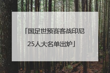 国足世预赛客战印尼25人大名单出炉