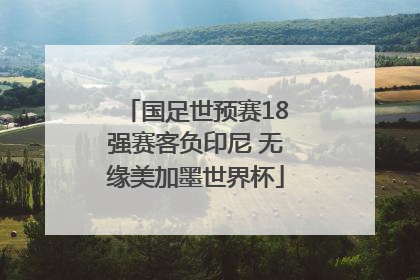 国足世预赛18强赛客负印尼 无缘美加墨世界杯