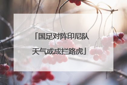 国足对阵印尼队 天气或成拦路虎