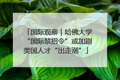 国际观察｜哈佛大学“国际禁招令”或加剧美国人才“出走潮”
