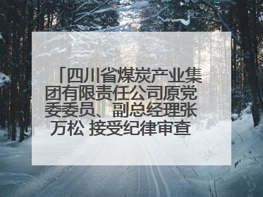 四川省煤炭产业集团有限责任公司原党委委员、副总经理张万松 接受纪律审查和监察调查