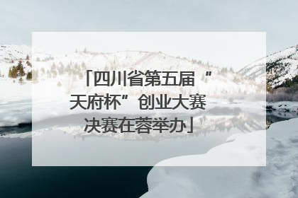 四川省第五届“天府杯”创业大赛决赛在蓉举办