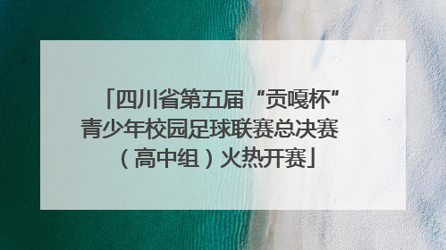 四川省第五届“贡嘎杯”青少年校园足球联赛总决赛（高中组）火热开赛