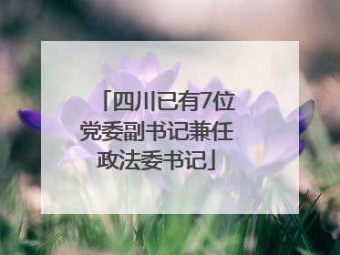 四川已有7位党委副书记兼任政法委书记
