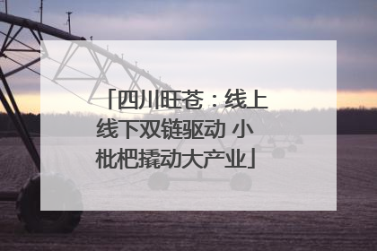 四川旺苍：线上线下双链驱动 小枇杷撬动大产业