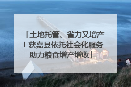 土地托管、省力又增产！获嘉县依托社会化服务助力粮食增产增收