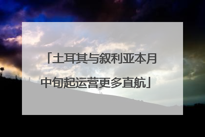 土耳其与叙利亚本月中旬起运营更多直航