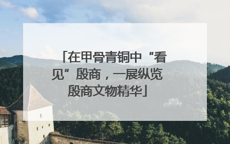 在甲骨青铜中“看见”殷商，一展纵览殷商文物精华