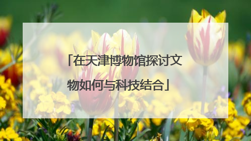 在天津博物馆探讨文物如何与科技结合