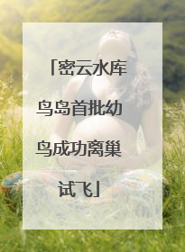 密云水库鸟岛首批幼鸟成功离巢试飞