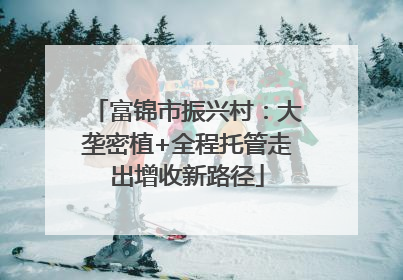 富锦市振兴村：大垄密植+全程托管走出增收新路径