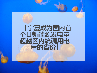 宁夏成为国内首个日新能源发电量超越区内统调用电量的省份