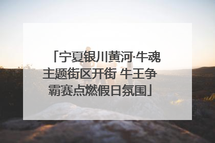 宁夏银川黄河·牛魂主题街区开街 牛王争霸赛点燃假日氛围