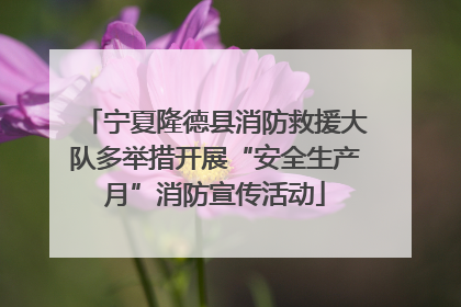宁夏隆德县消防救援大队多举措开展“安全生产月”消防宣传活动