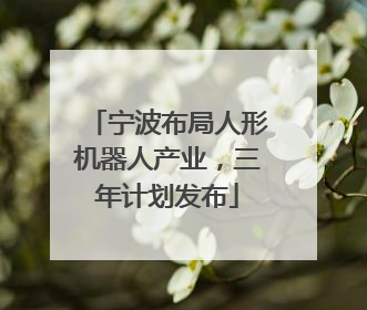 宁波布局人形机器人产业，三年计划发布