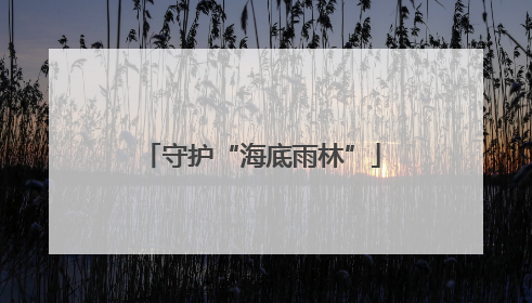 守护“海底雨林”