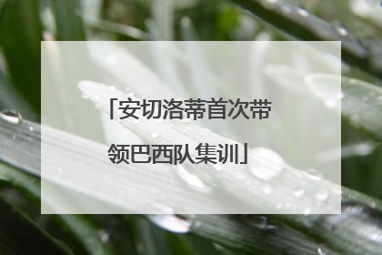 安切洛蒂首次带领巴西队集训