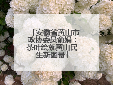 安徽省黄山市政协委员俞娟：茶叶绘就黄山民生新图景
