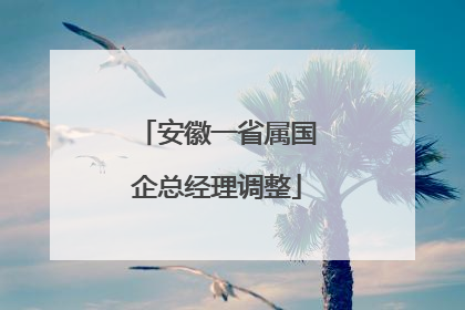 安徽一省属国企总经理调整