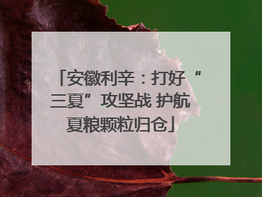安徽利辛：打好“三夏”攻坚战 护航夏粮颗粒归仓