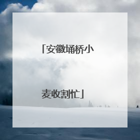 安徽埇桥小麦收割忙