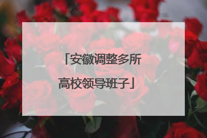 安徽调整多所高校领导班子