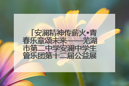 安澜精神传薪火•青春乐章颂未来——芜湖市第二中学安澜中学生管乐团第十二届公益展演圆满举行