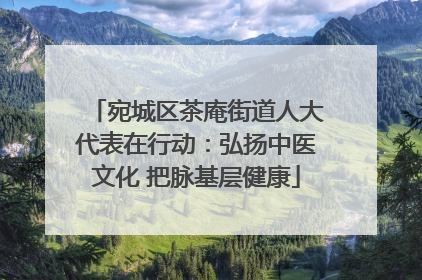宛城区茶庵街道人大代表在行动：弘扬中医文化 把脉基层健康